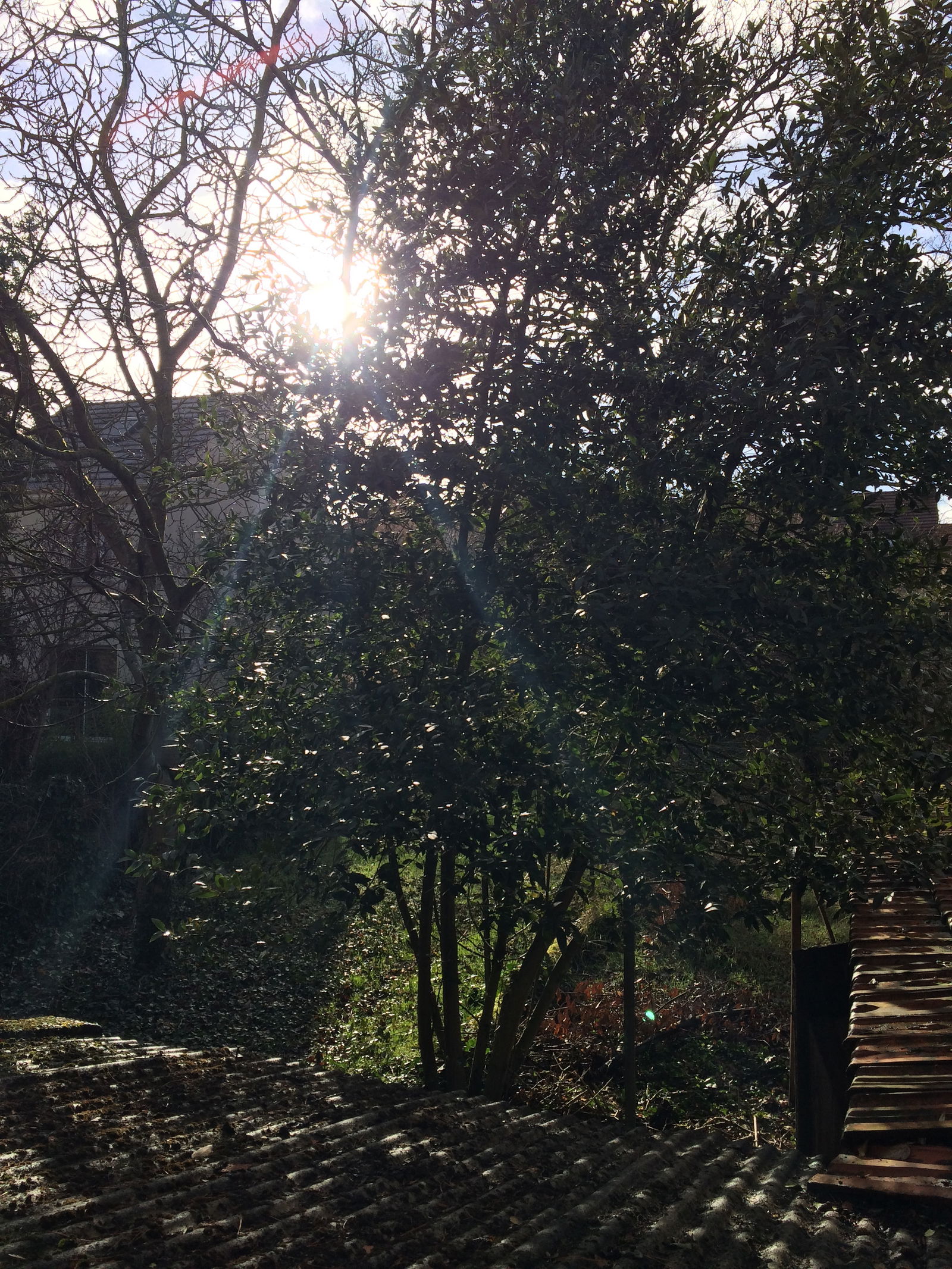 Kolokation Nanterre 254291