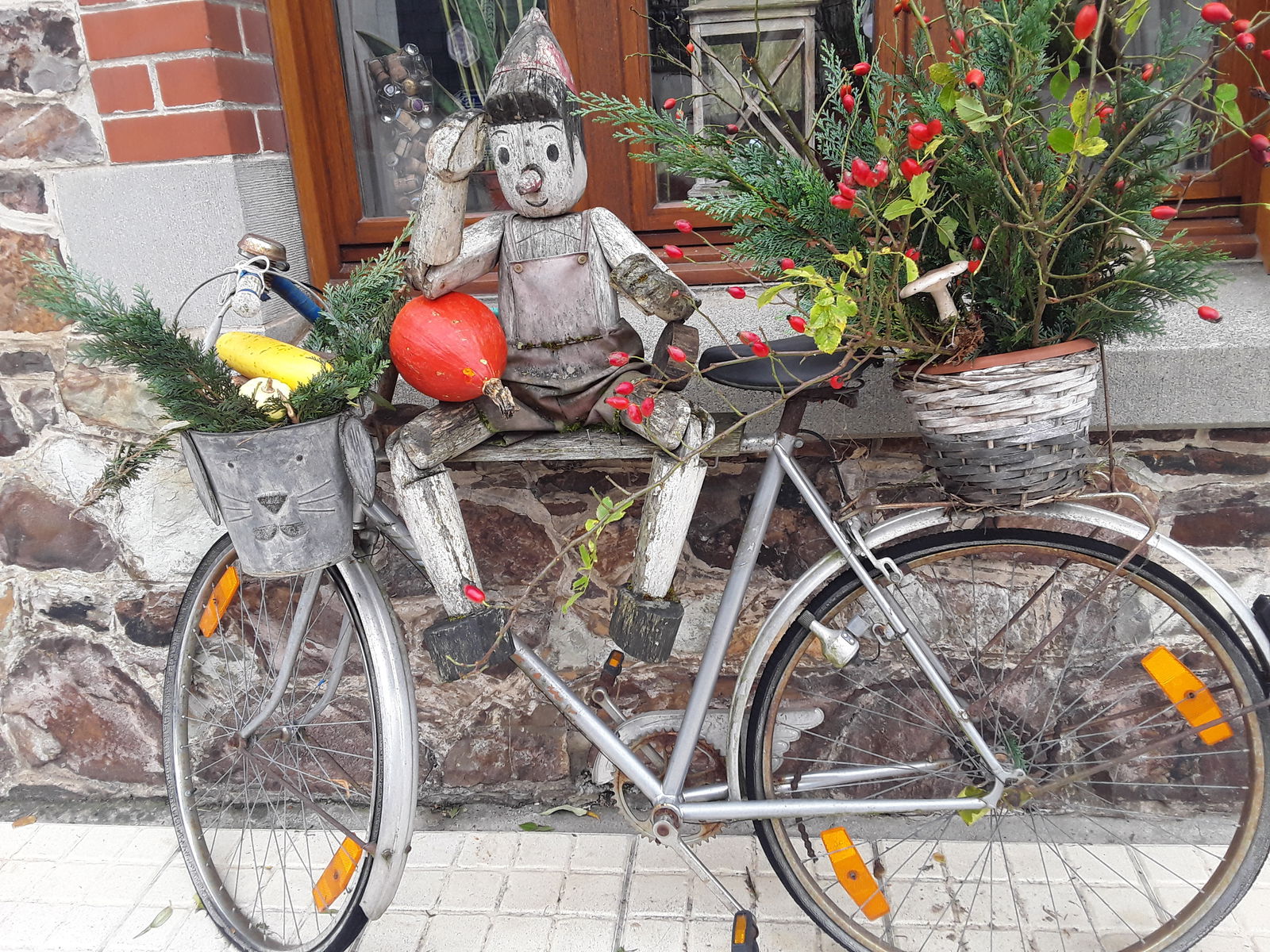 Gastfamilie Daverdisse 254541