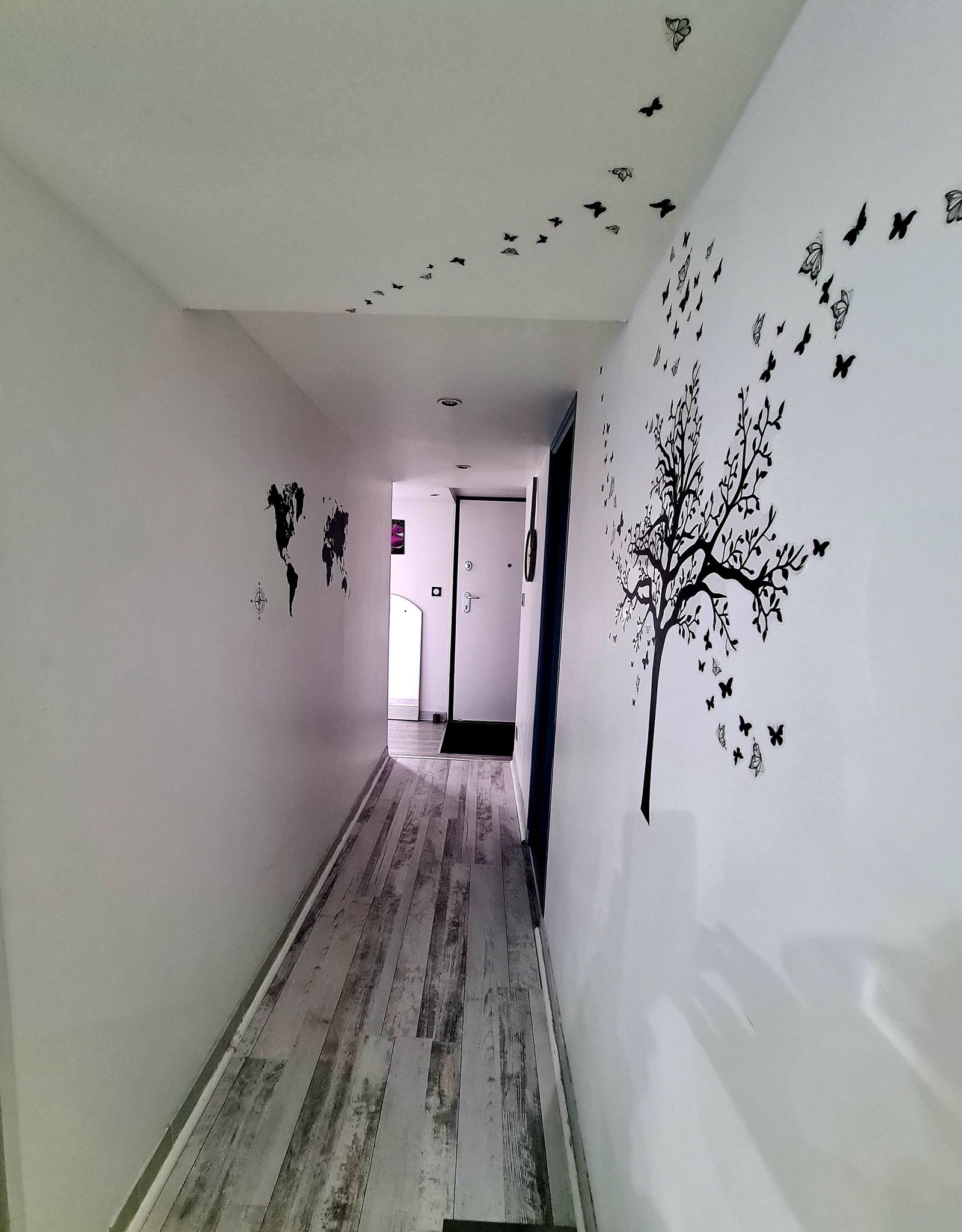 Kolokation Ris-Orangis 366029