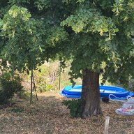 Gastfamilie Valette 232644