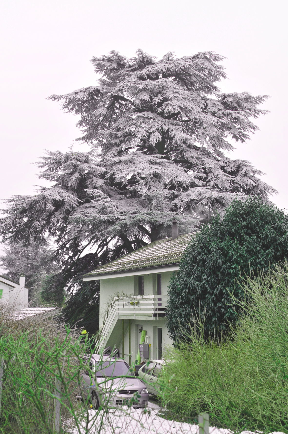 Kolokation Nyon 160663
