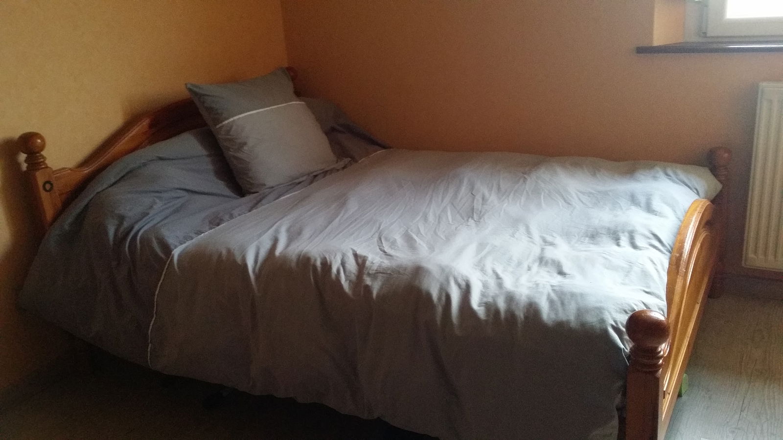 Gastfamilie Saules 129022