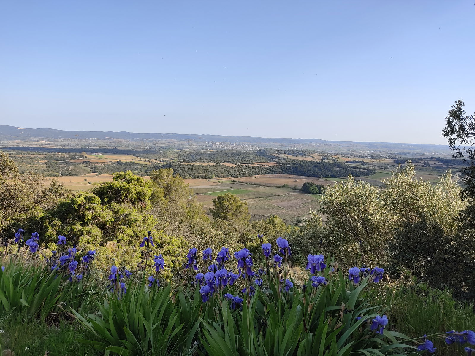 Gastfamilie Montpeyroux 247759