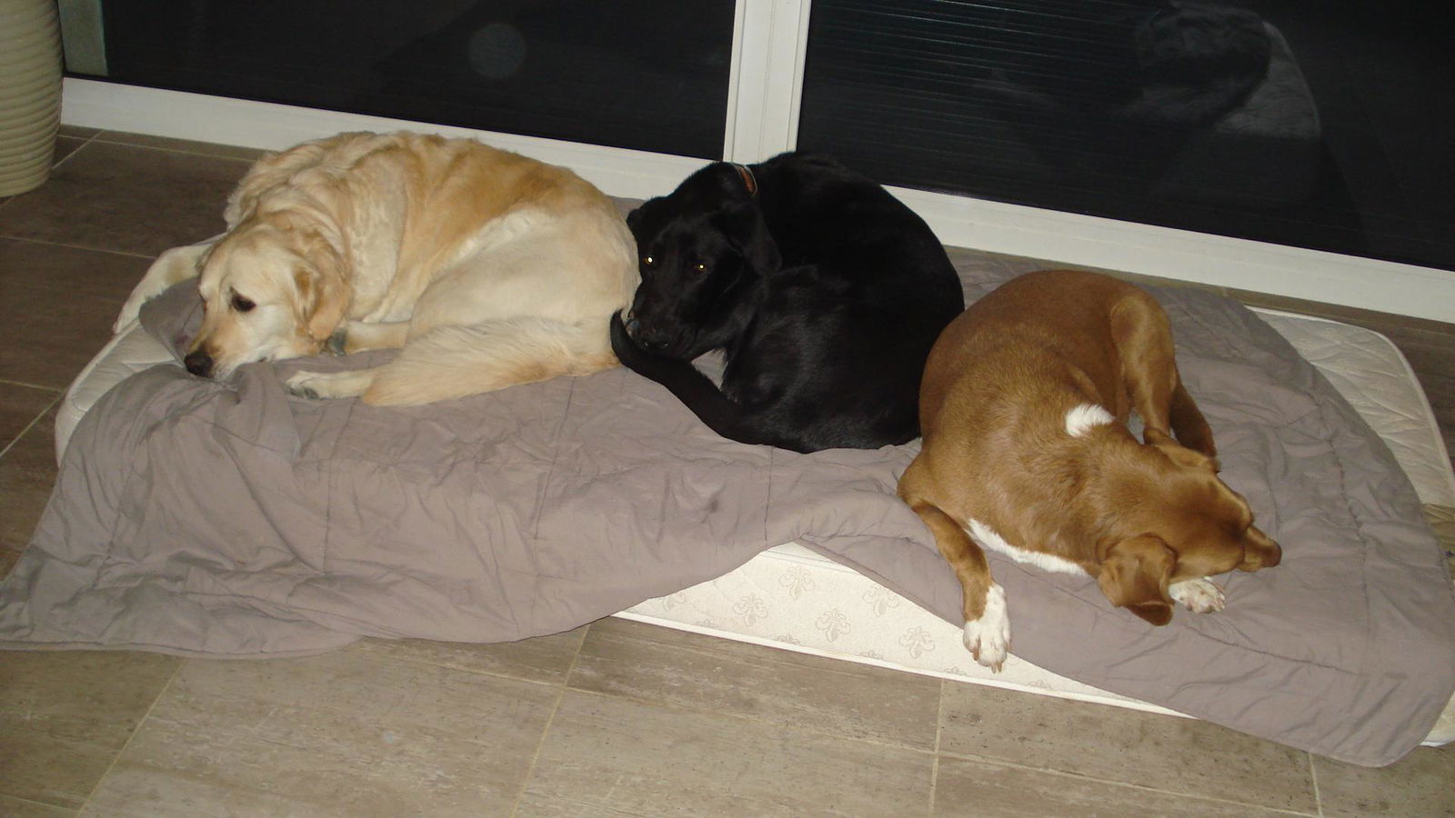 Gastfamilie La Motte-d'Aigues 269623