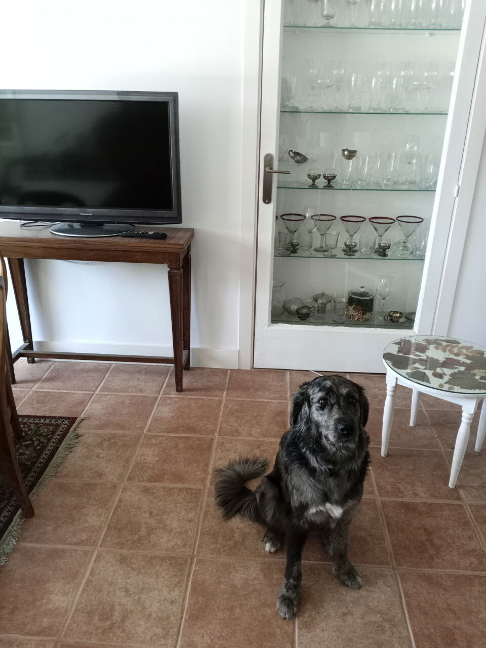 Gastfamilie Madrid 249816