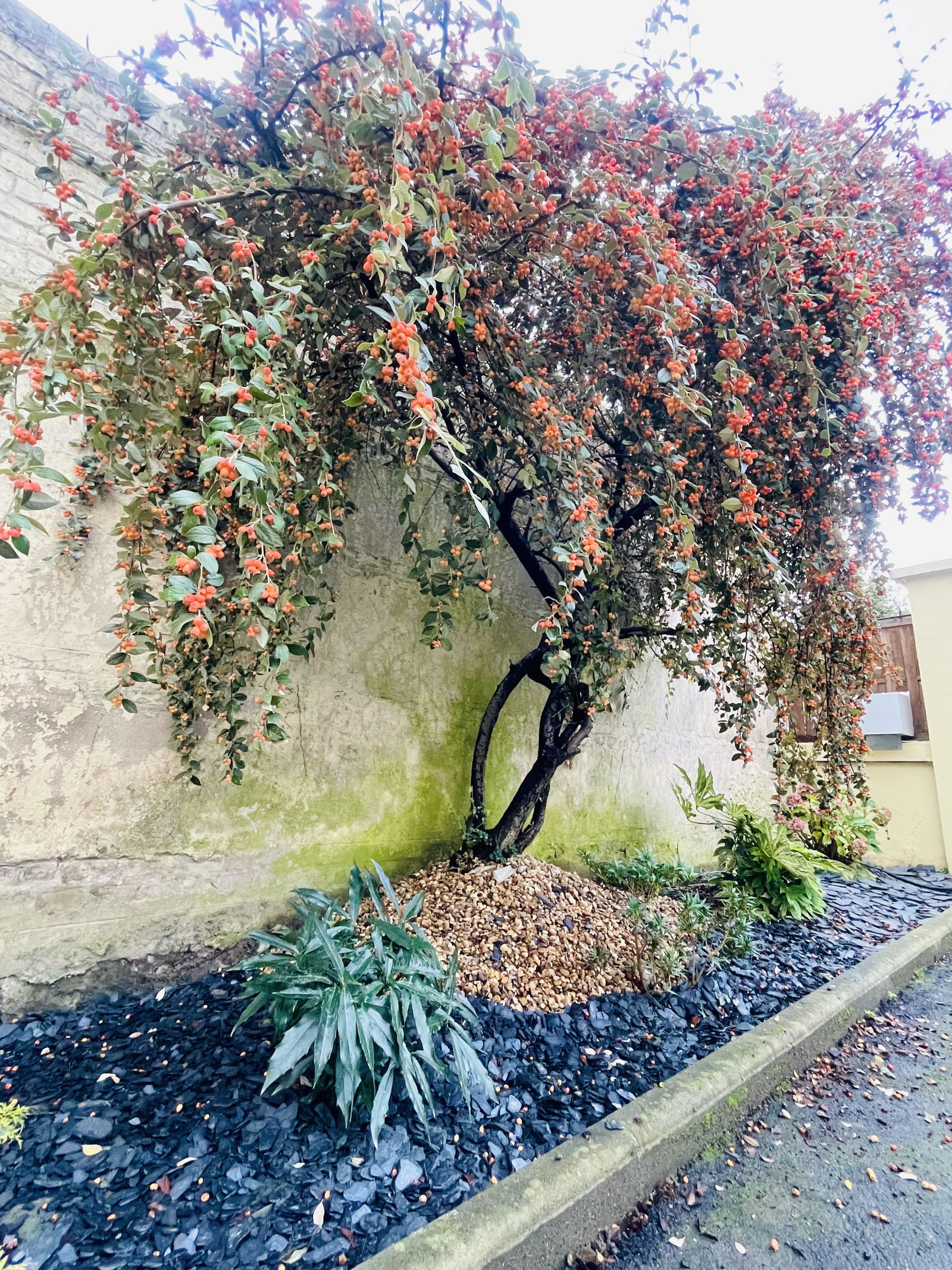 Zusammenleben Le Havre 641668