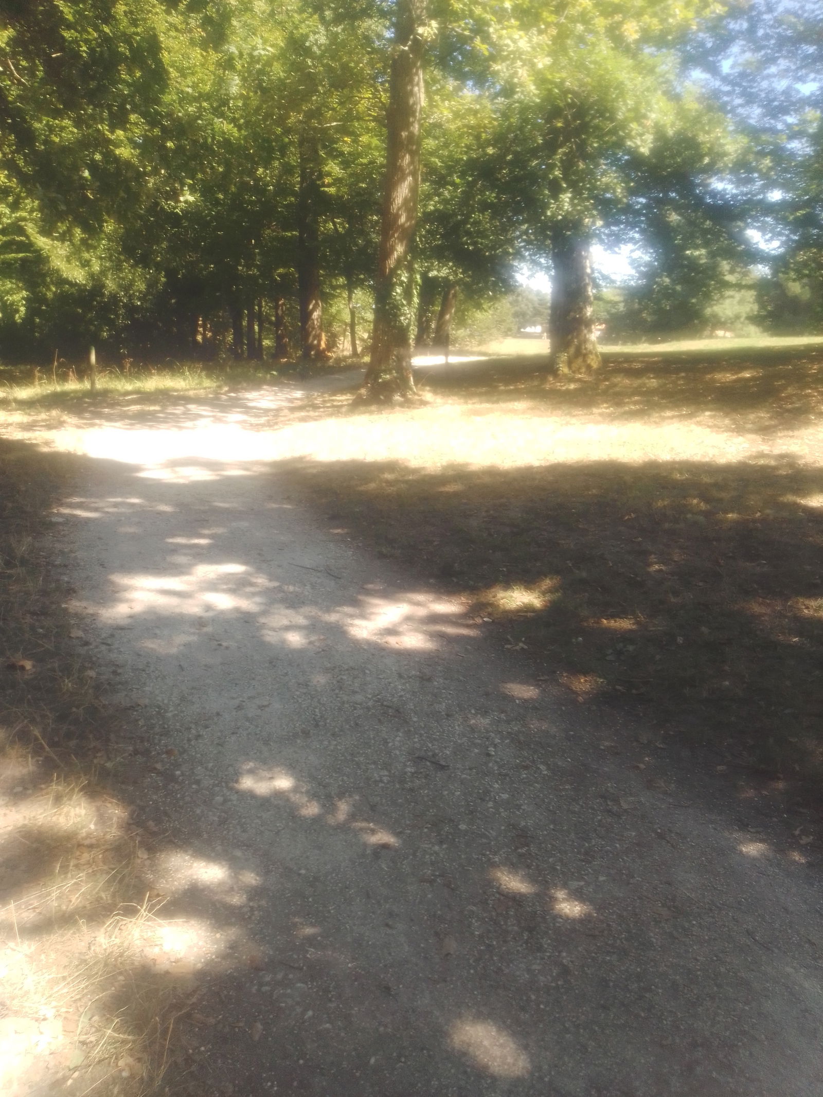 Gastfamilie Artigues-près-Bordeaux 257955