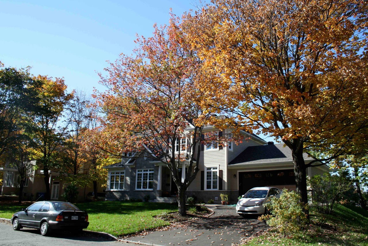 Gästezimmer Québec 70059
