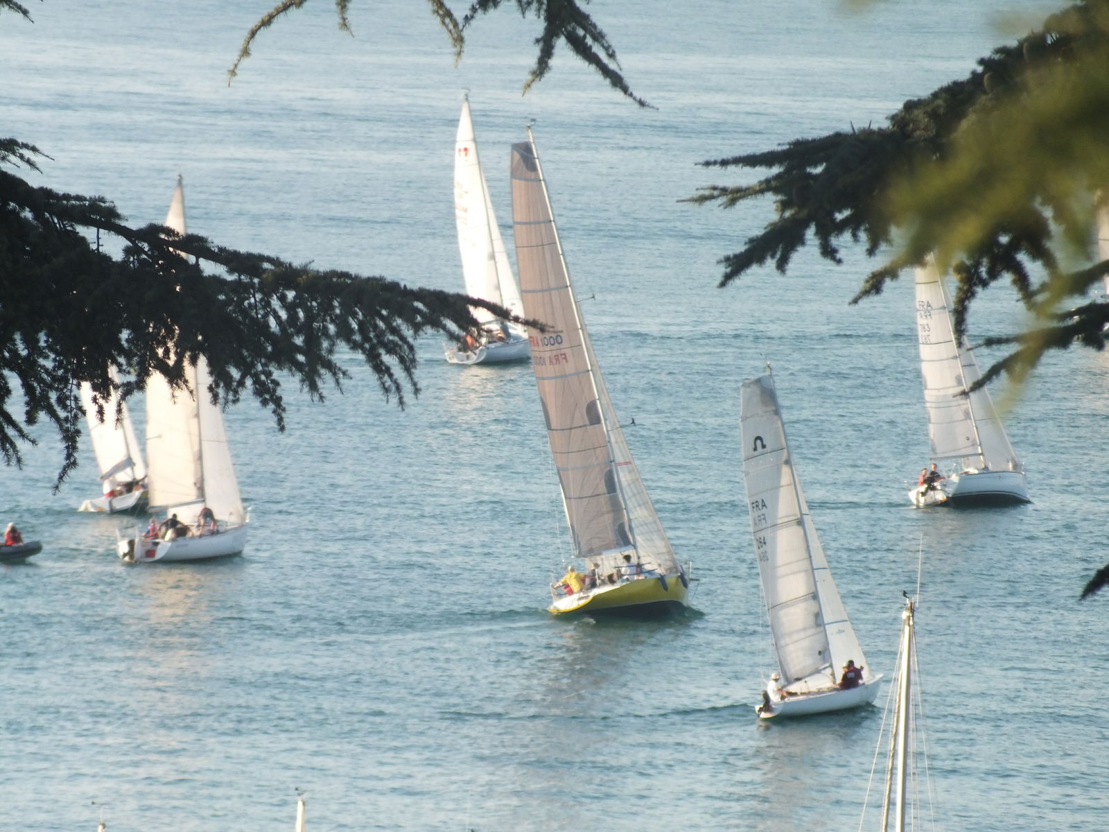 Gastfamilie Évian-les-Bains 160769