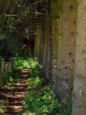 Gästezimmer Chomelix 37211