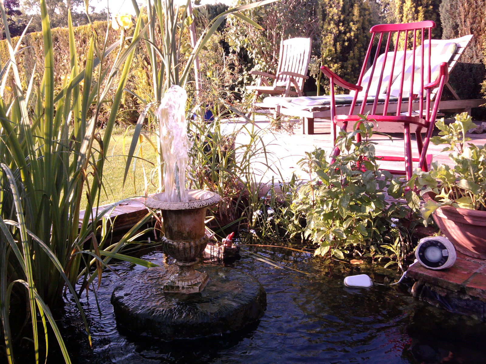 Gastfamilie Ham-sur-Heure-Nalinnes 69305