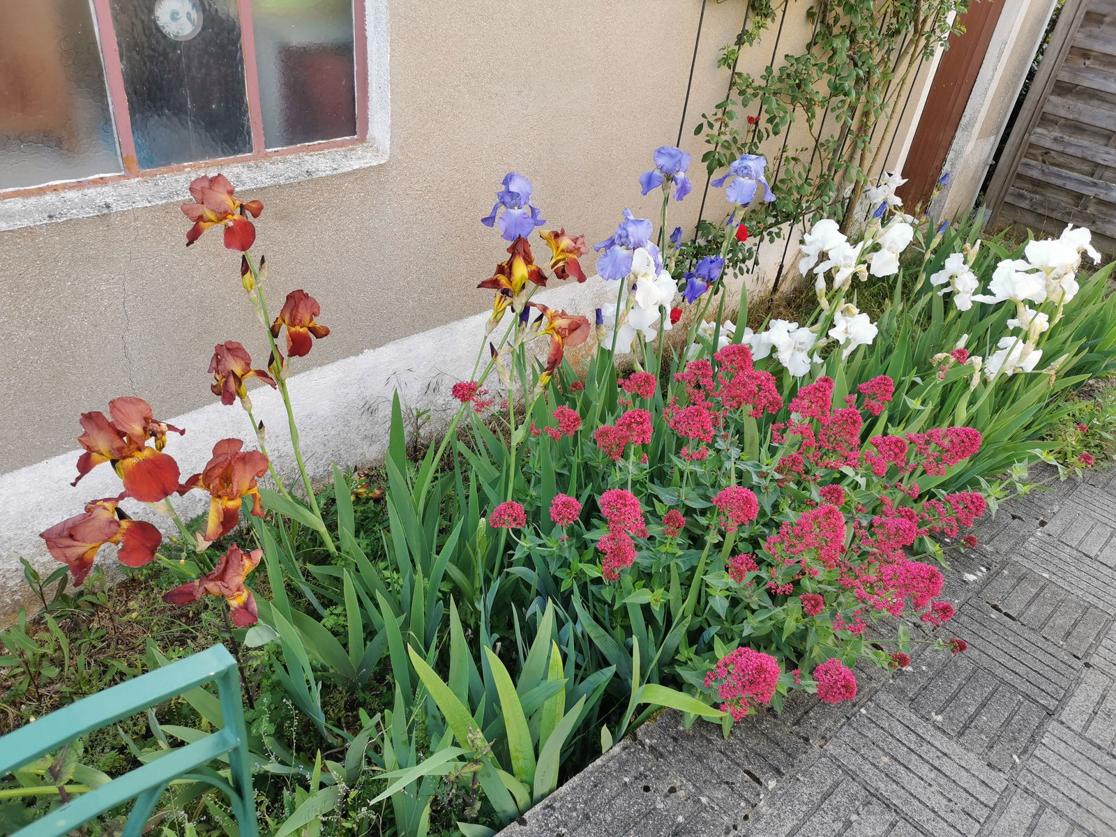 Gastfamilie Poitiers 366778