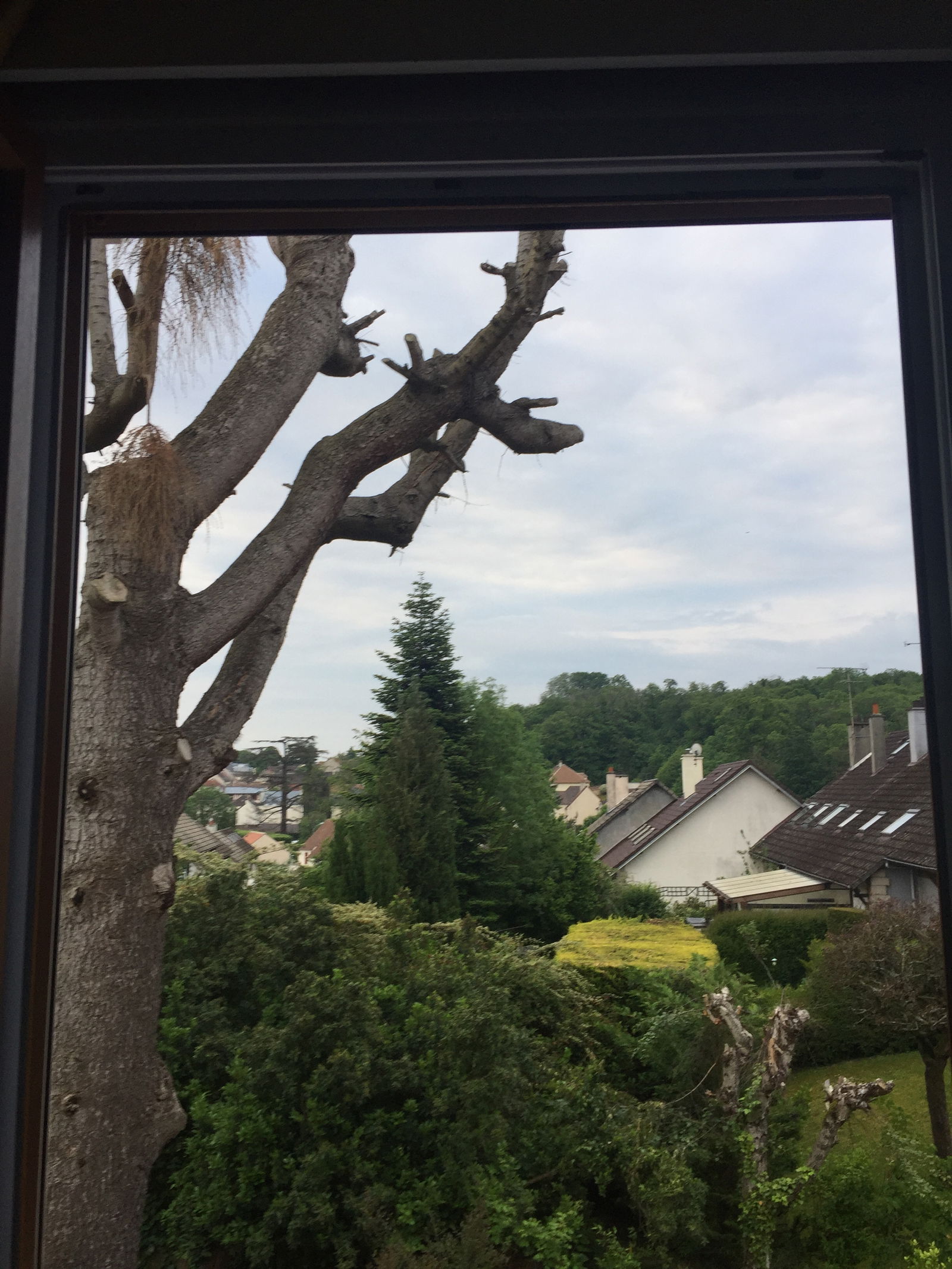 Gastfamilie Domont 252297