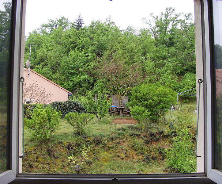 Gastfamilie Upie 265461