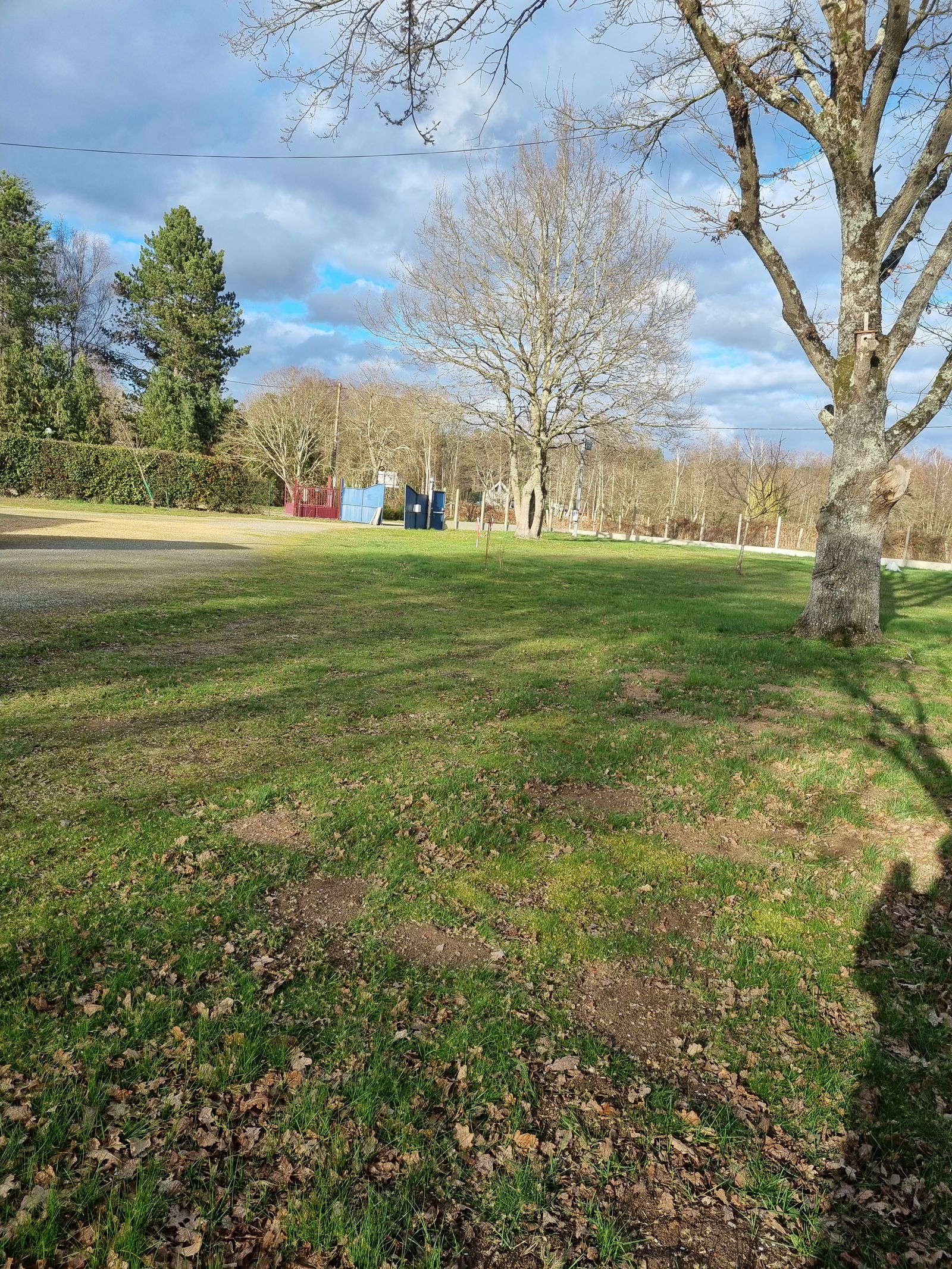 Gastfamilie Ruaudin 77853