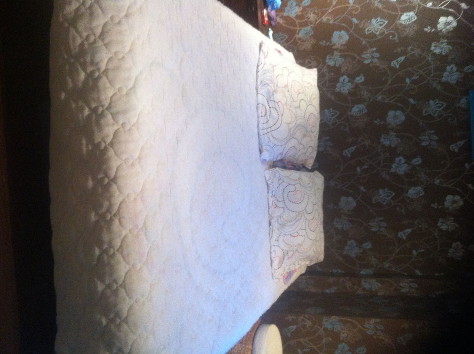 Kolokation Savigny-sur-Orge 110801