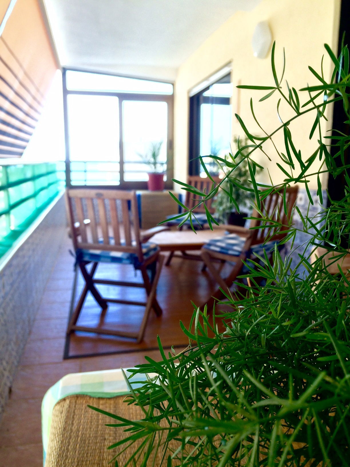 Kolokation Arenals del Sol 122402