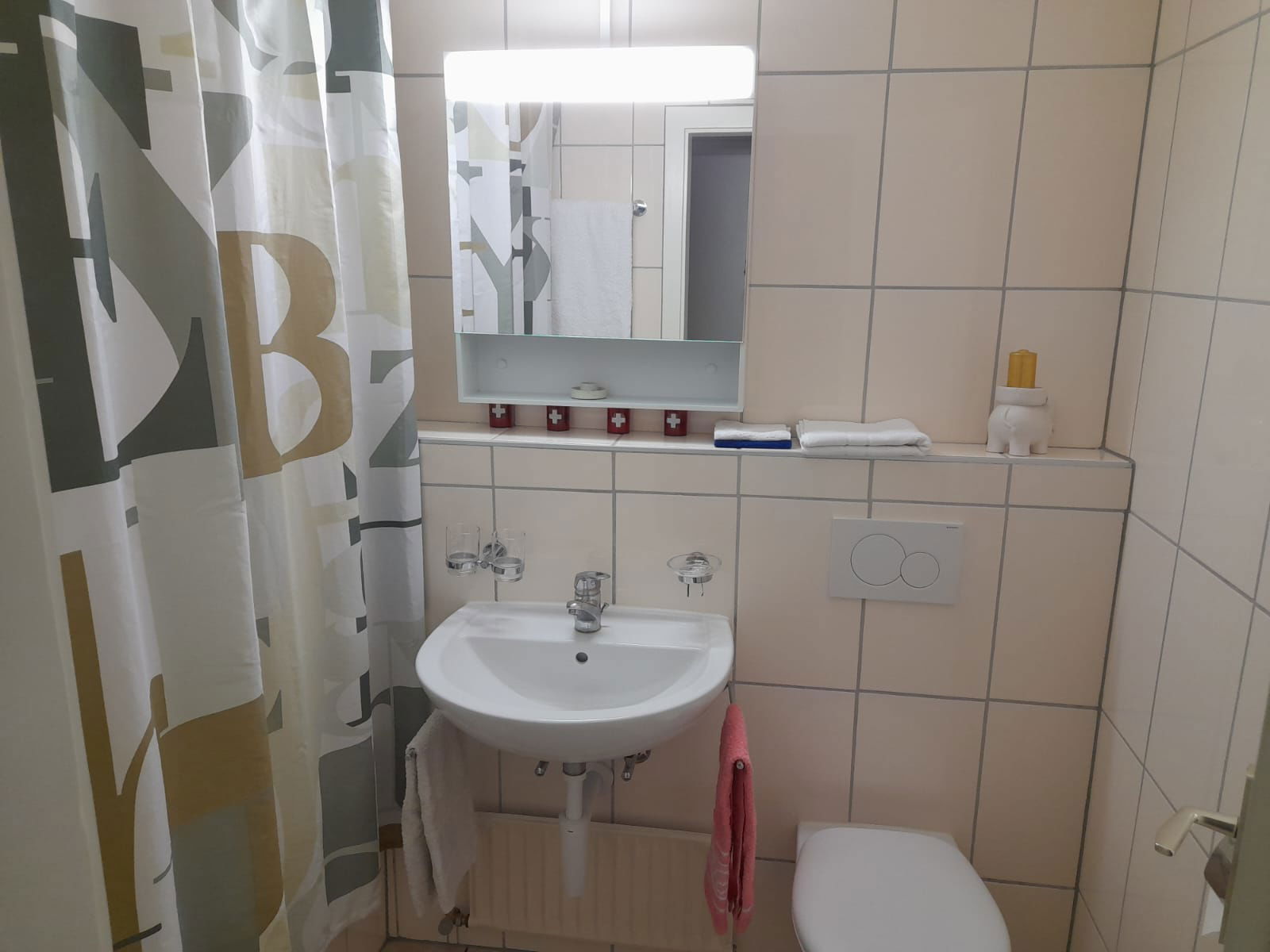 Gastfamilie Châtel-Saint-Denis 566526