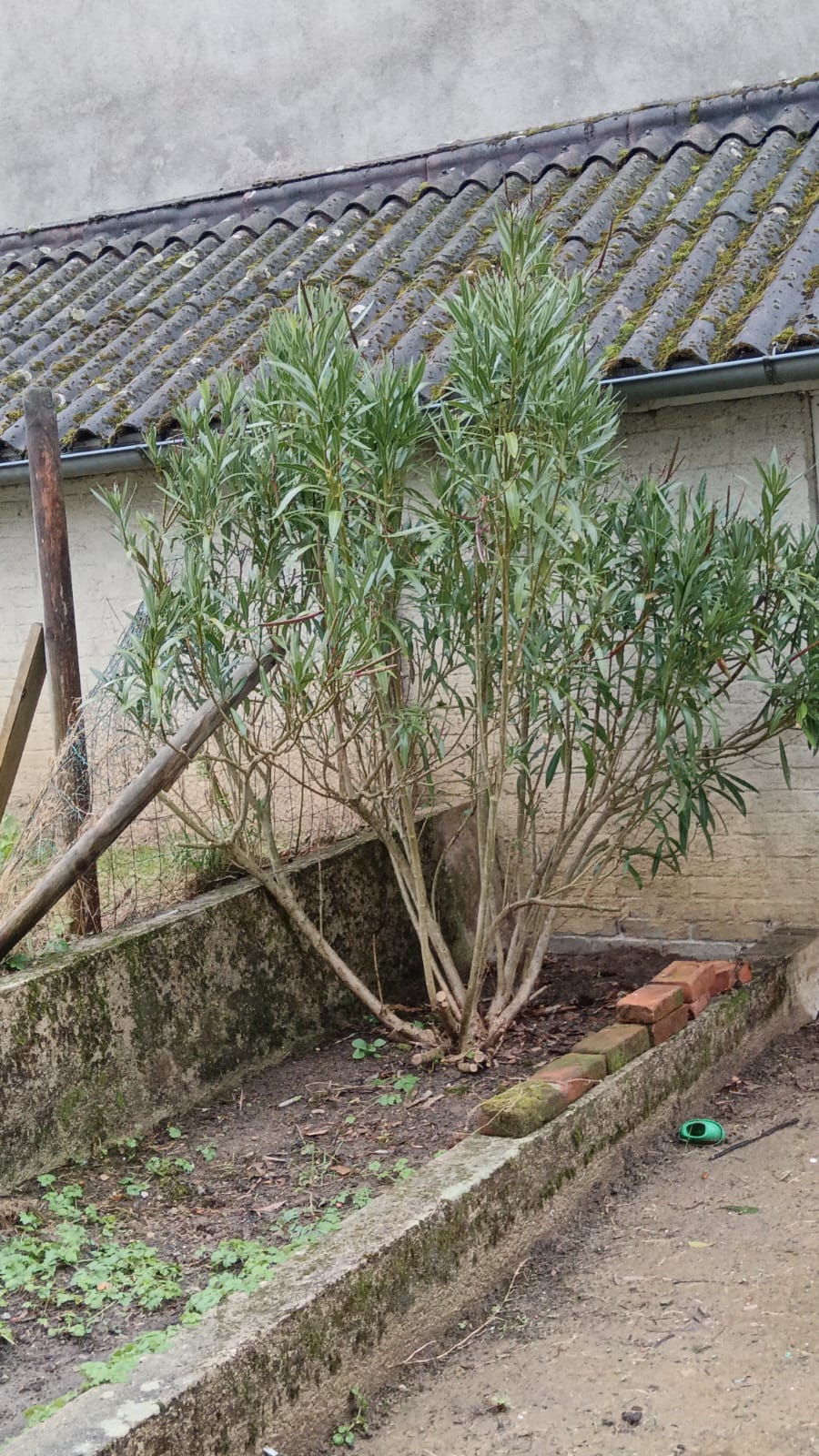 Gastfamilie Limoges 642433