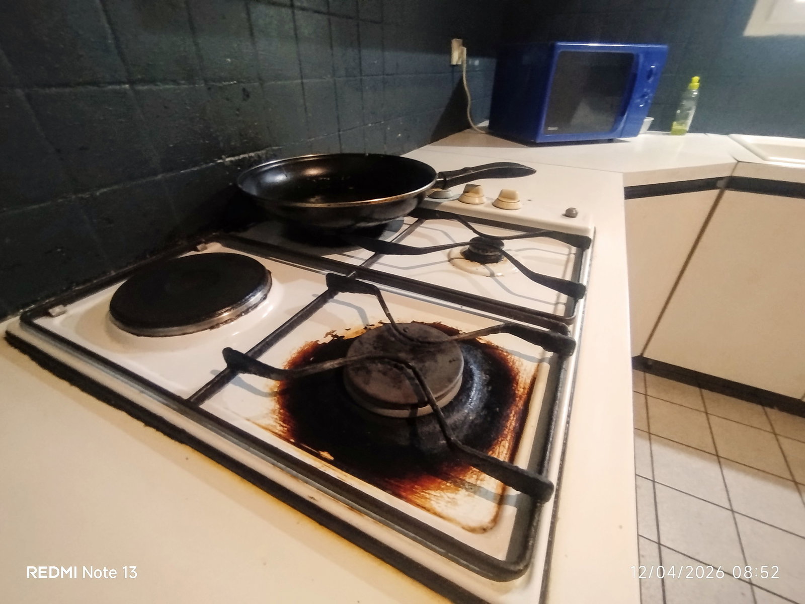Gastfamilie Pessac 582627