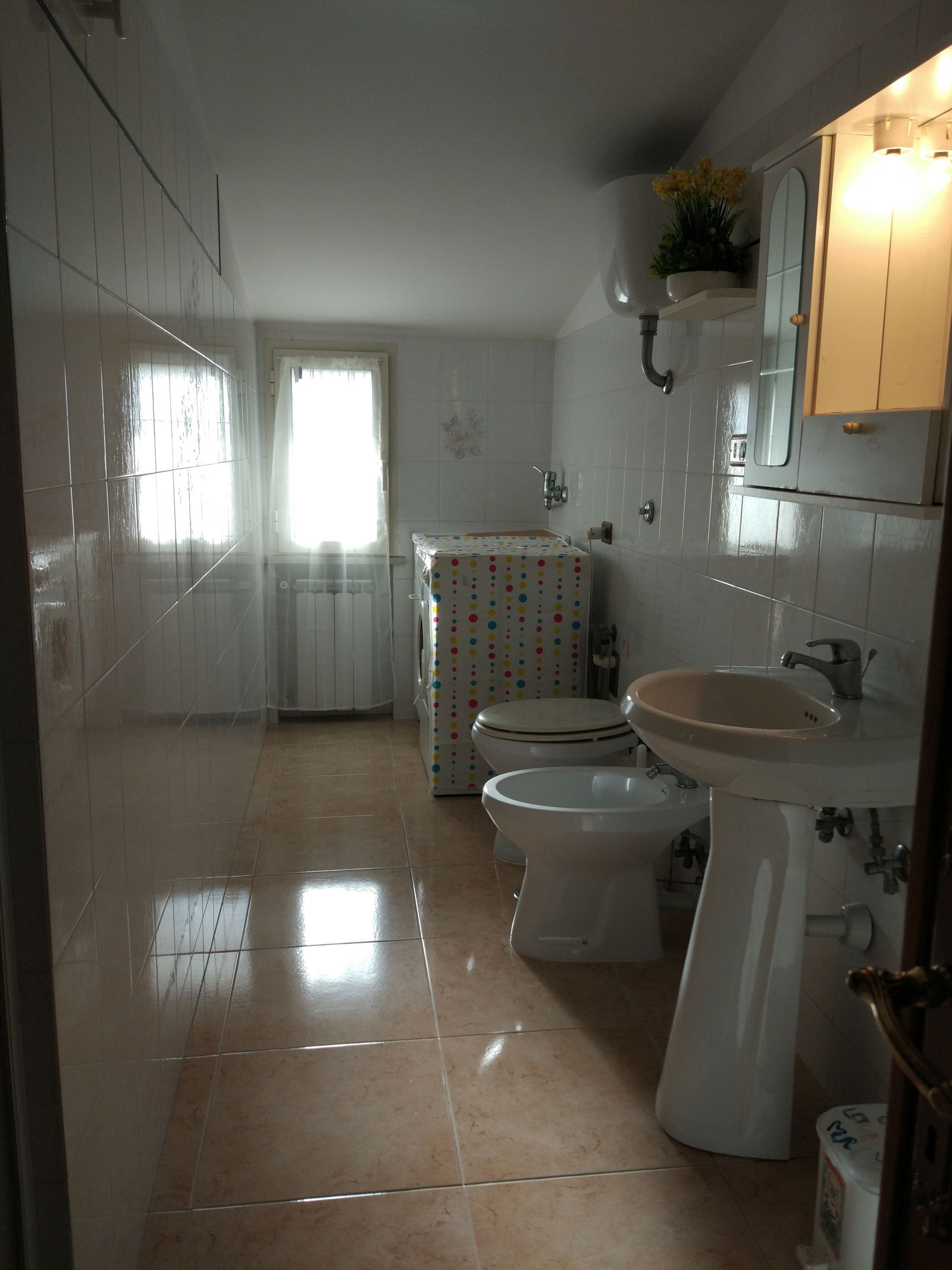 Kolokation Lazio 158773