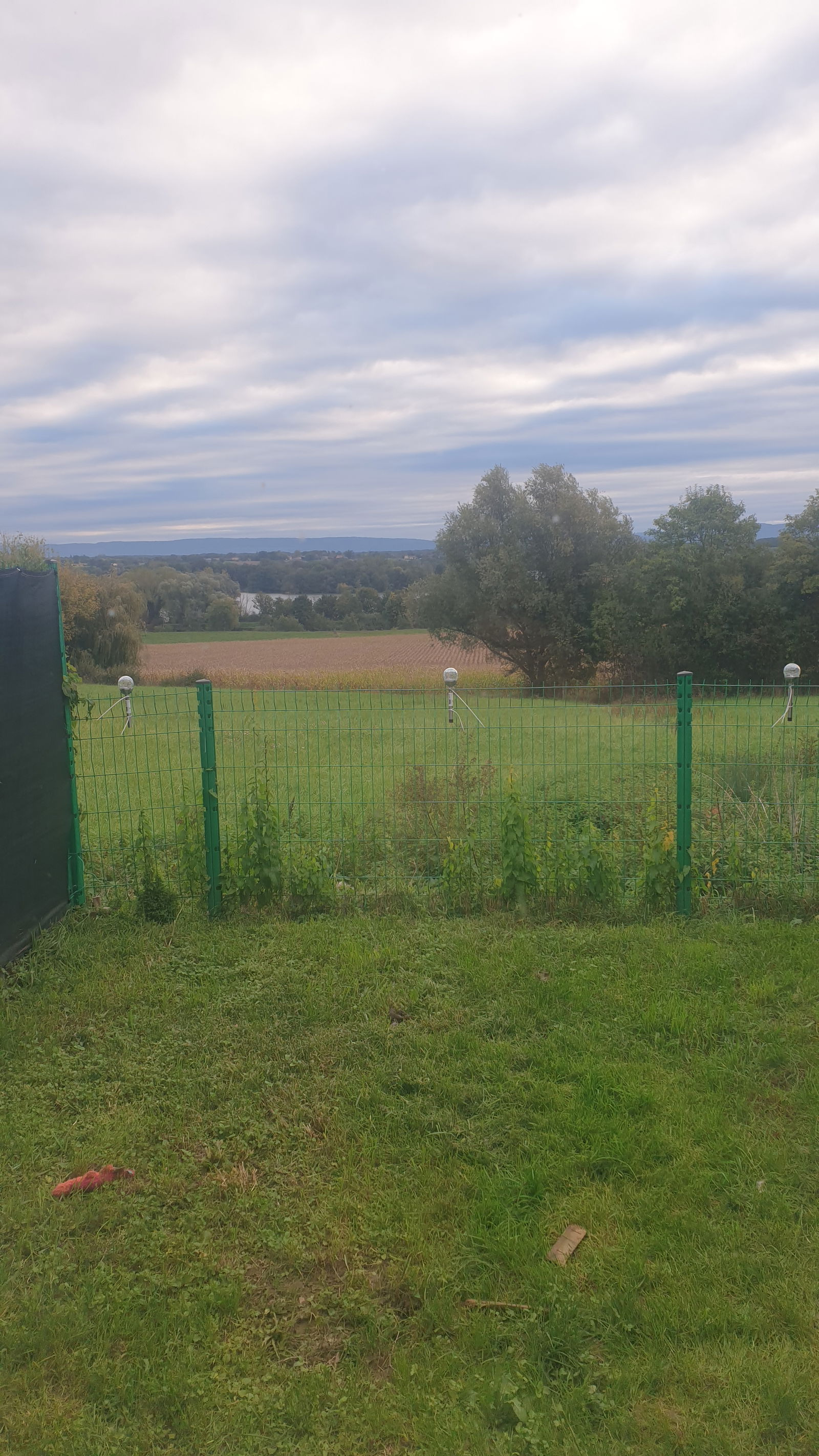 Kolokation Jayat 581929