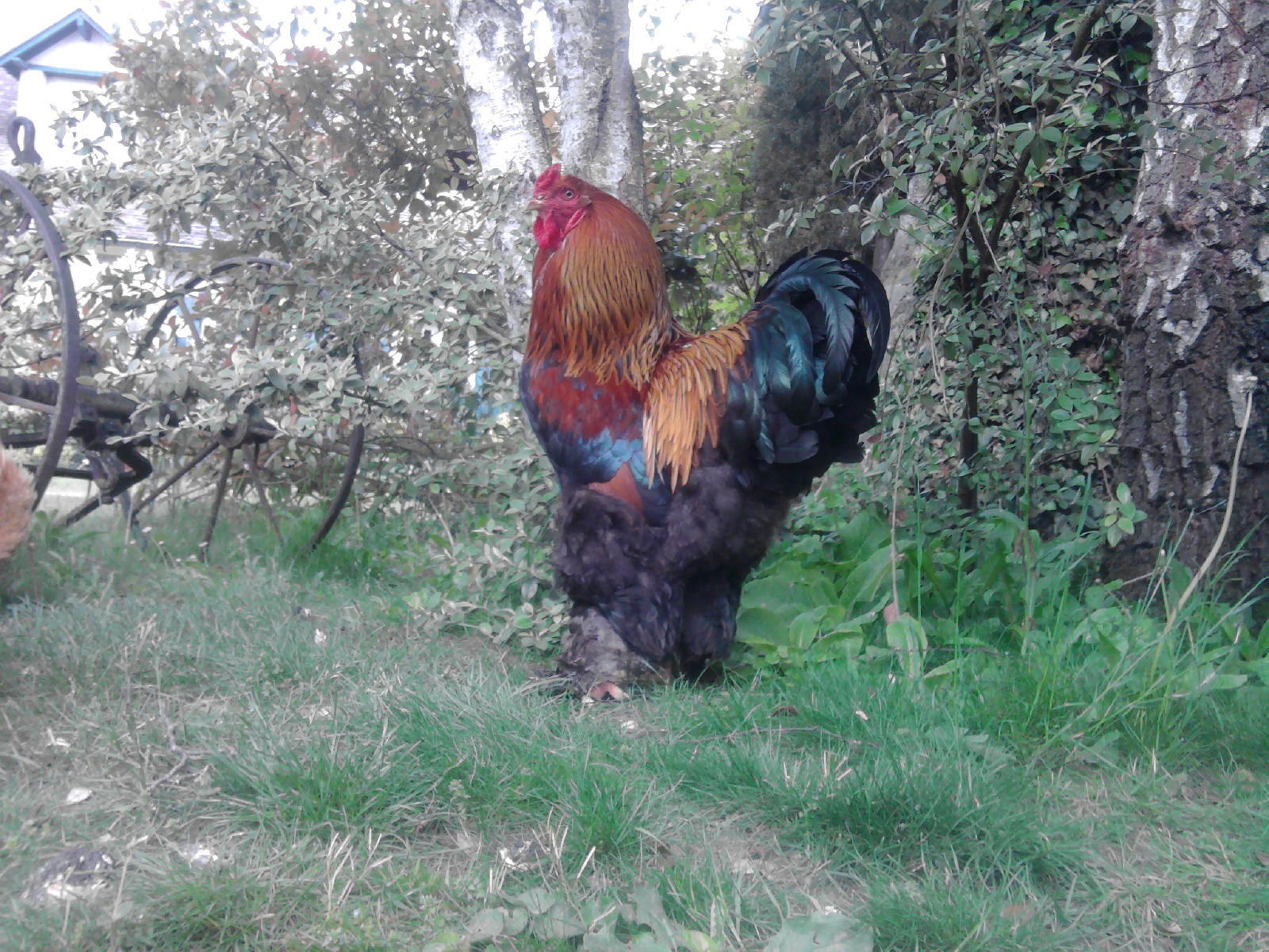 Gastfamilie Civry-la-Forêt 90091