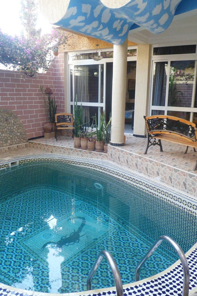 Unabhängiges Studio Tamraght 89097