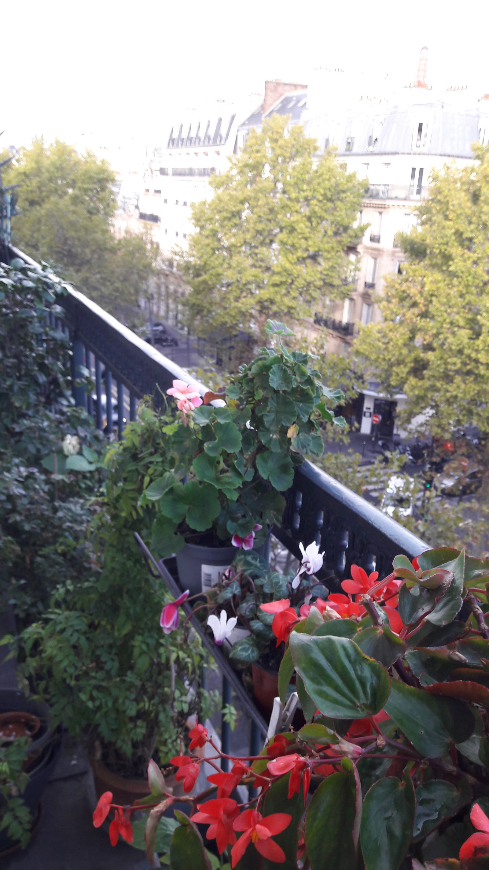 Gastfamilie Paris 242840