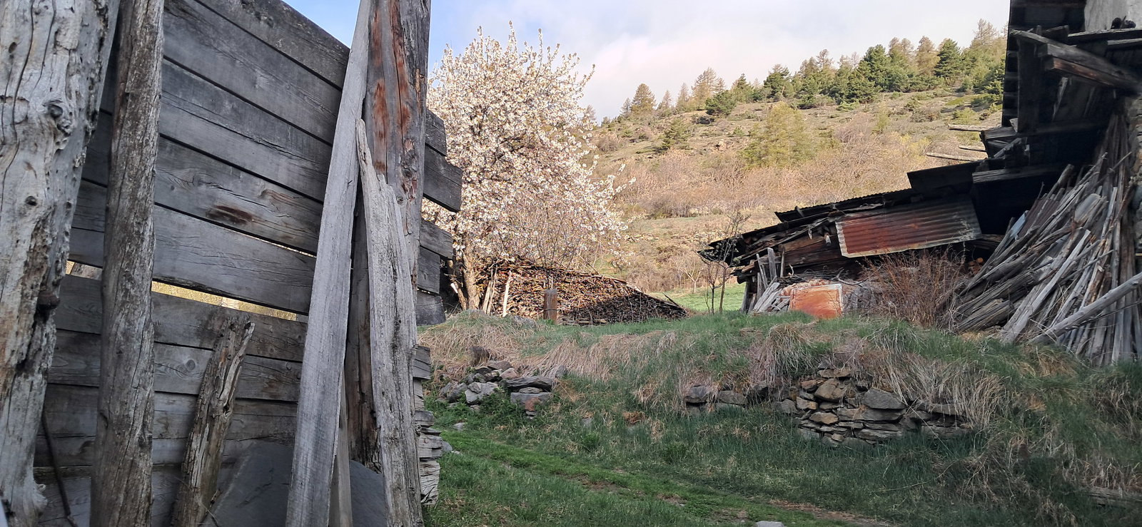 Zusammenleben Puy-Saint-Pierre 470689