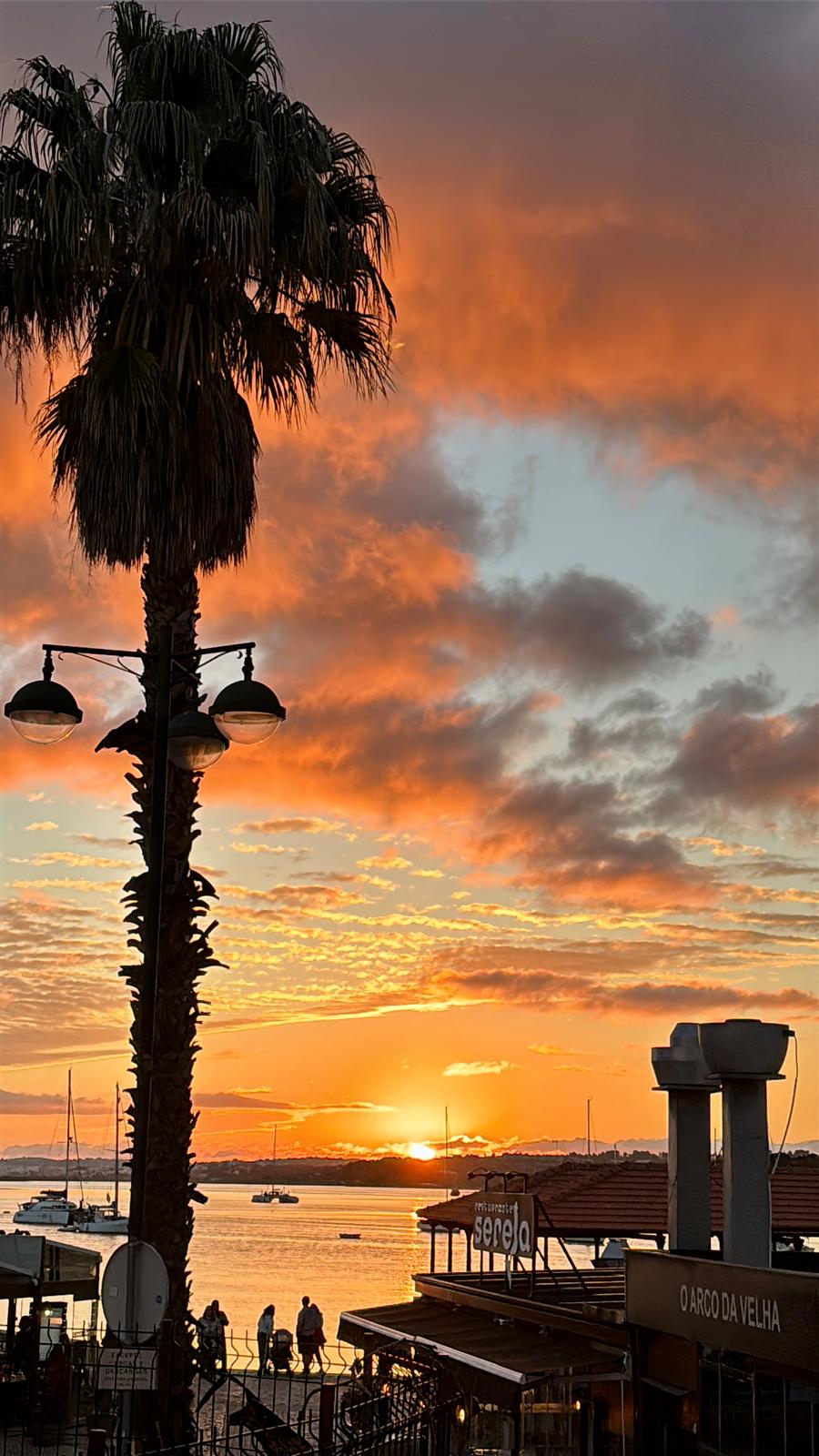 Gastfamilie Alvor 222999