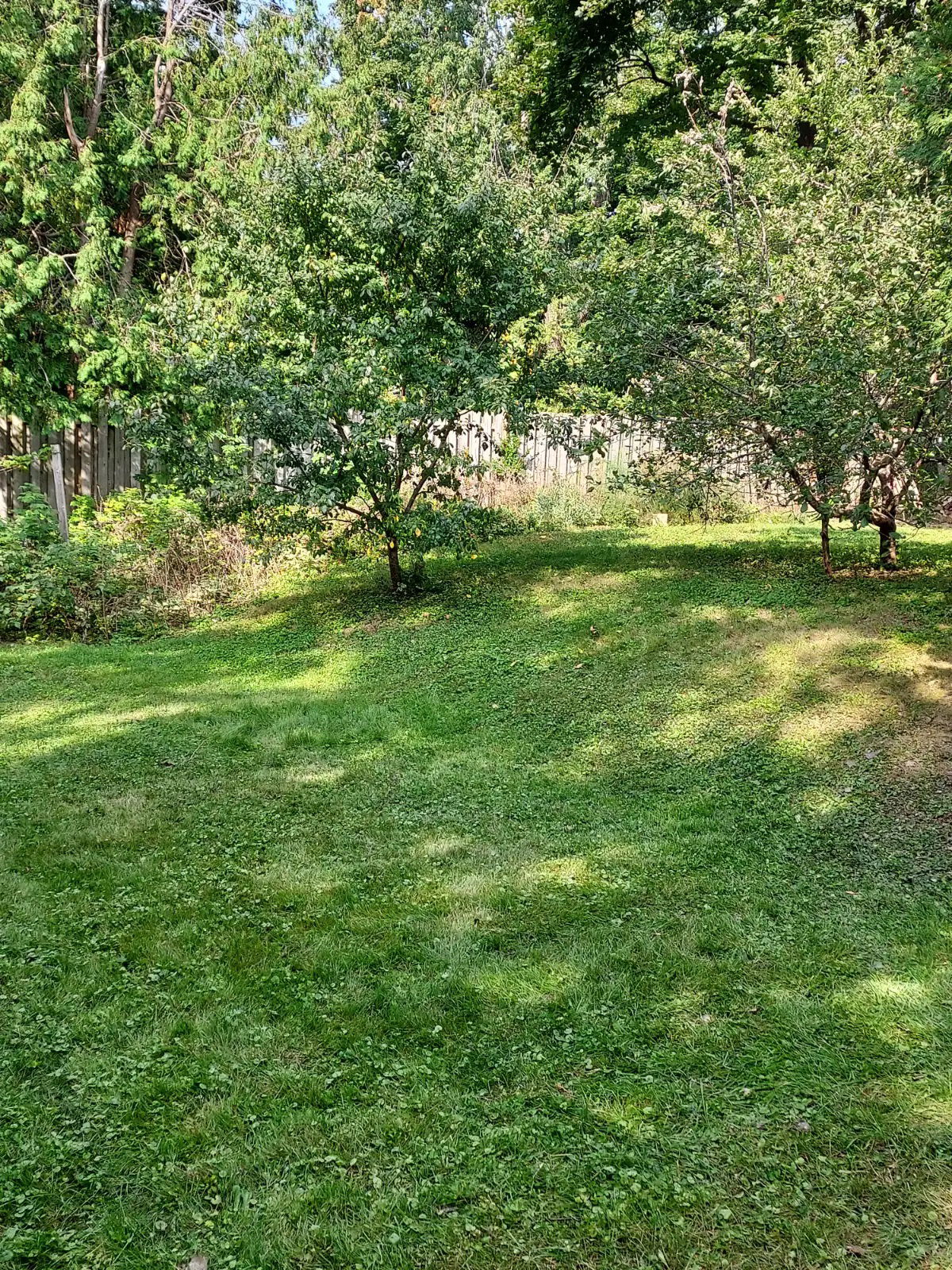 Gastfamilie Baie-d'Urfé 629875