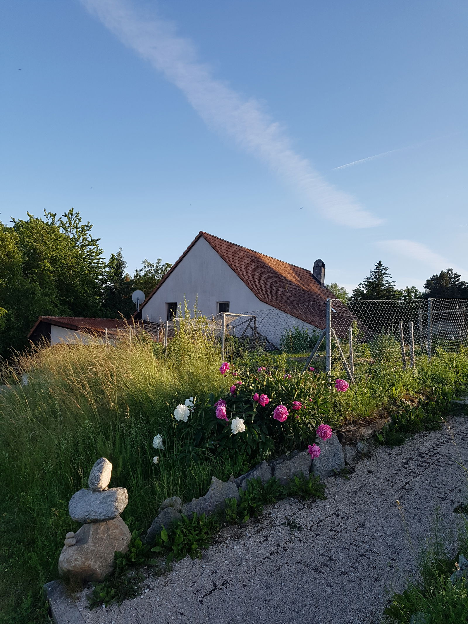 Gastfamilie Lully 224370