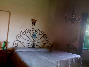 Roomlala | Zimmer Zu Vermieten In Einem Bauernhaus In Der Nähe Des Golfs Von Baratti