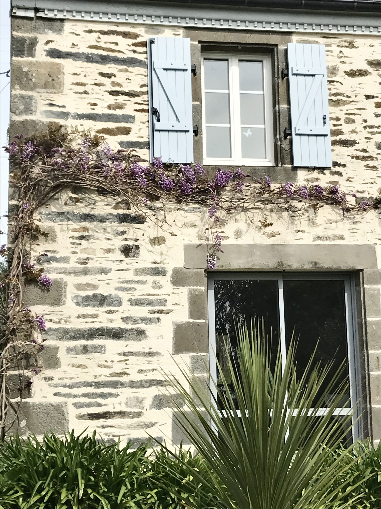 Gastfamilie Irvillac 311295