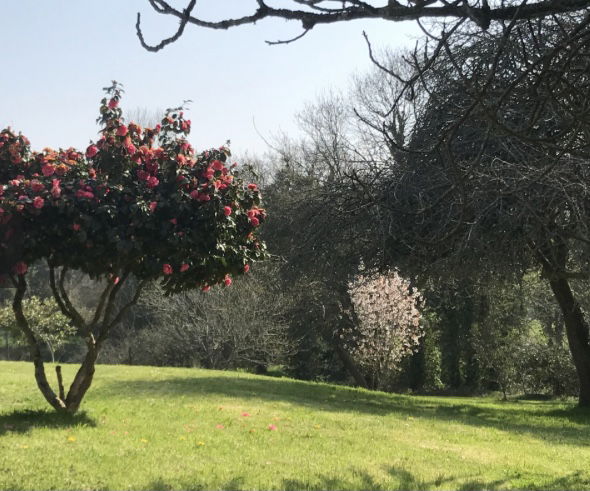 Gastfamilie Irvillac 311295