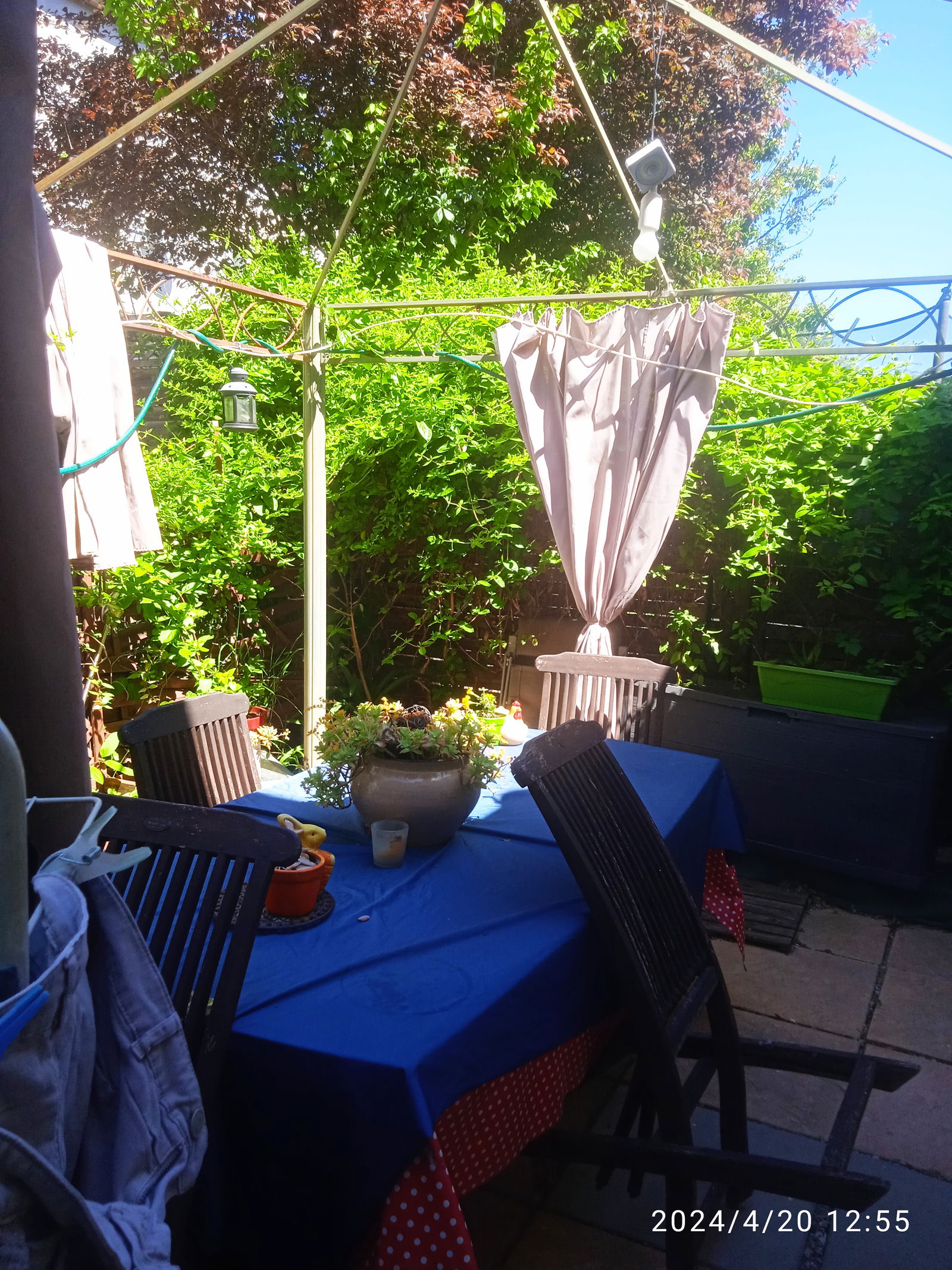 Gastfamilie Montpellier 375942