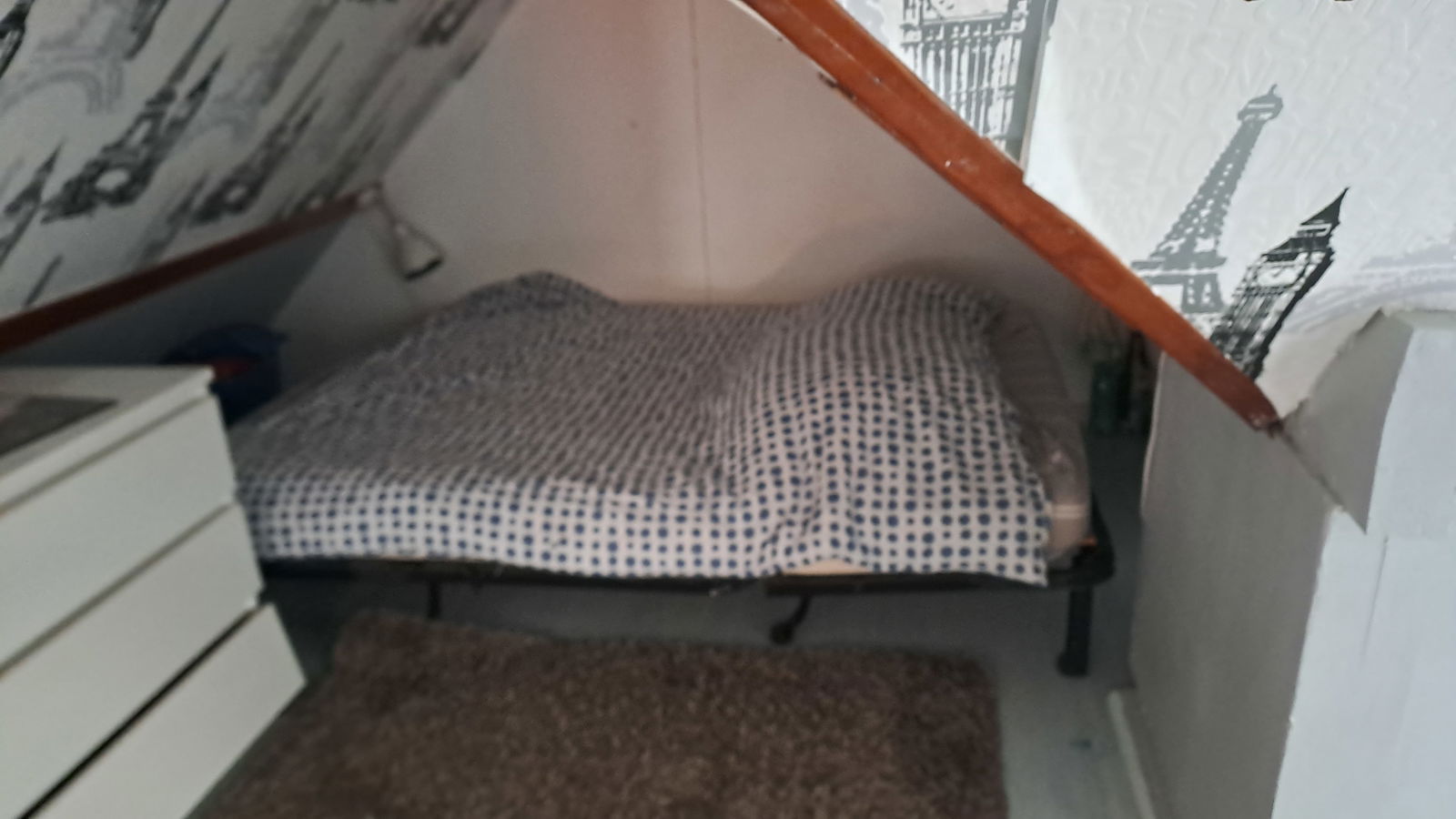 Gastfamilie Saint-Pierre-lès-Nemours 557862