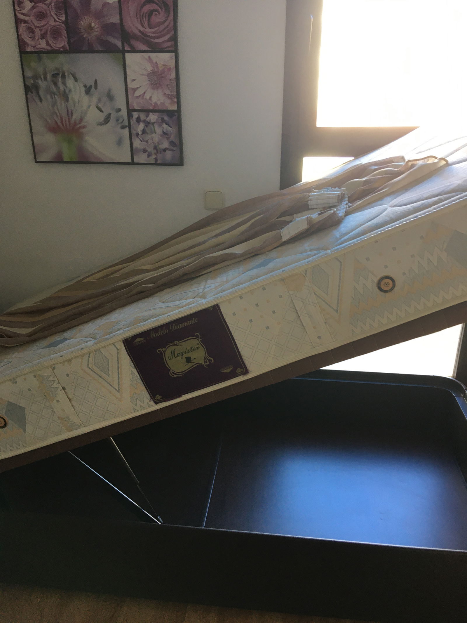 Gastfamilie Alcobendas 243912