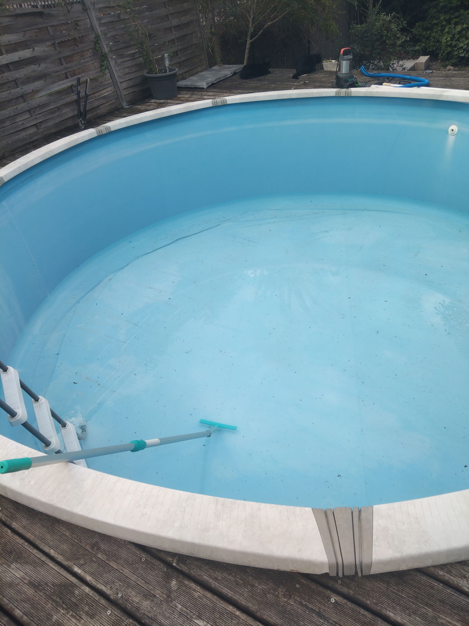 Kolokation Eysines 220759