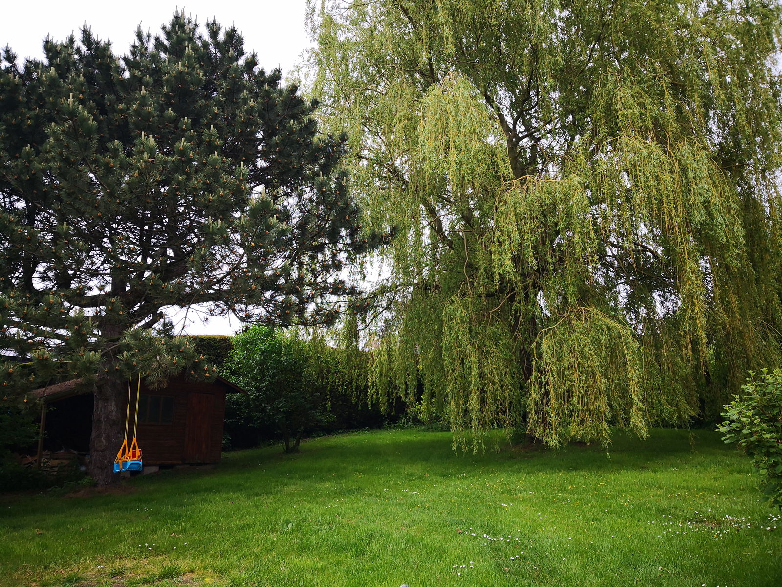 Gastfamilie Braine-le-Comte 226789