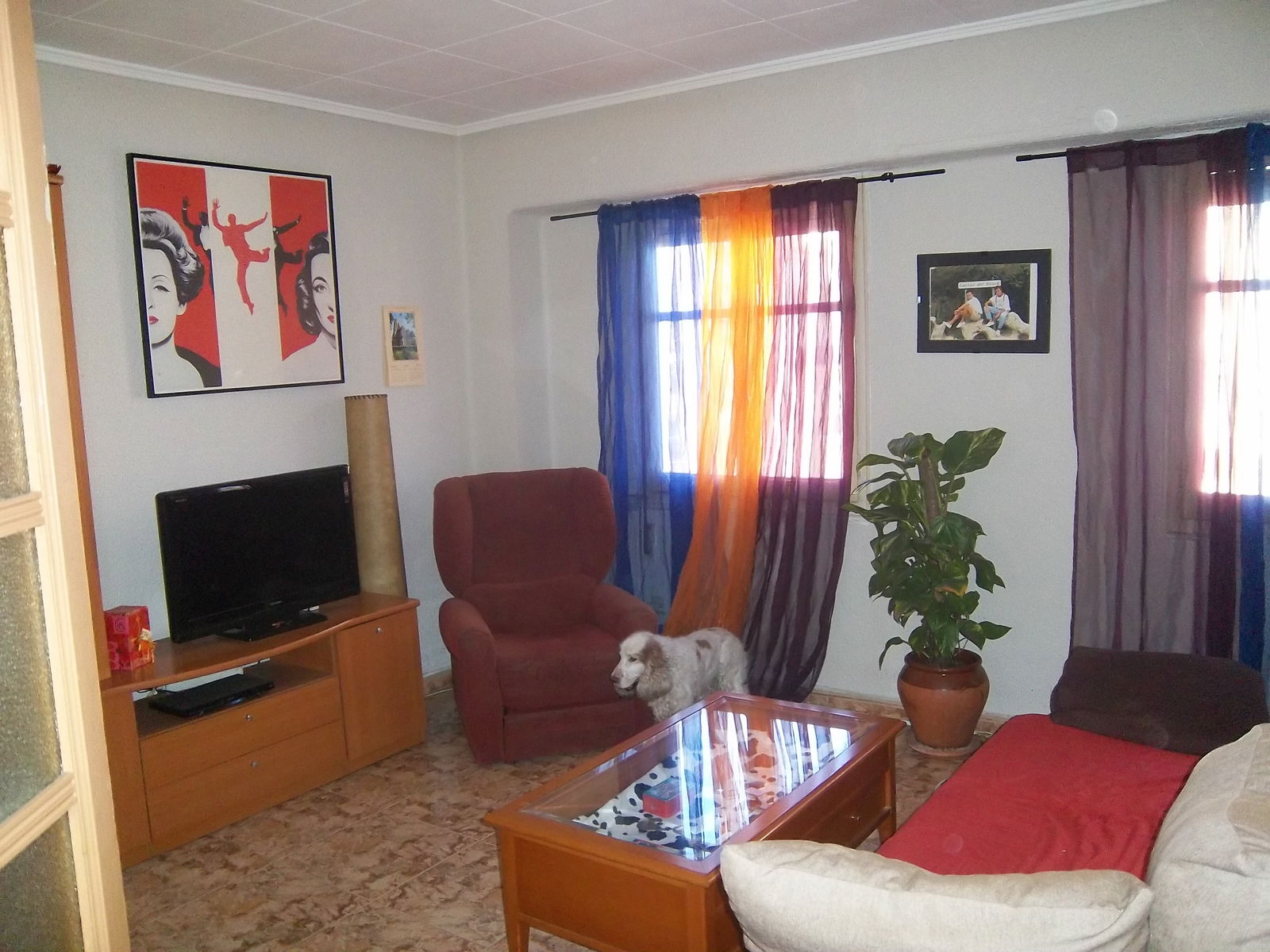 Gastfamilie València 161877