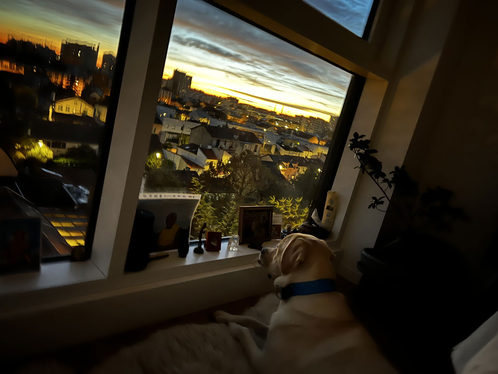 Gastfamilie Villejuif 397268