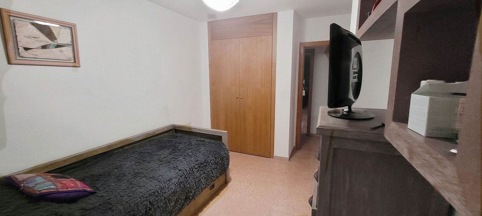 Gastfamilie Alicante (Alacant) 245803