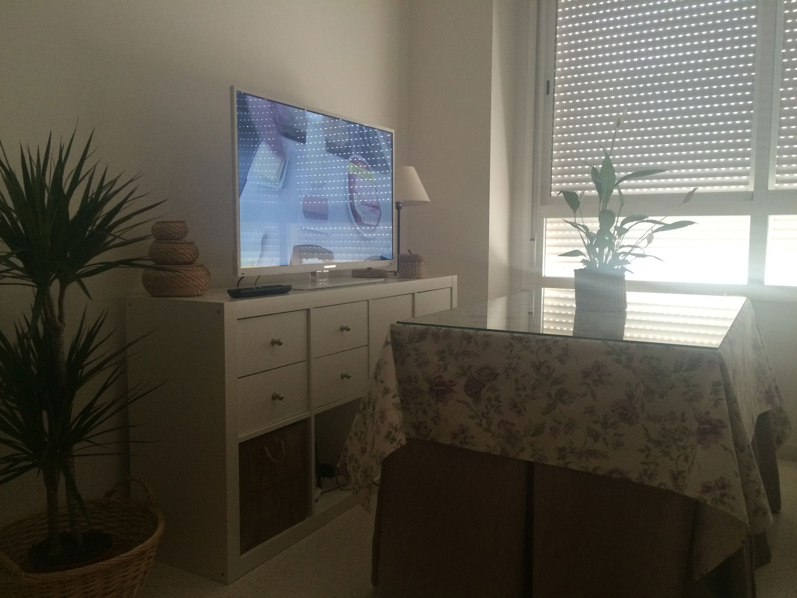 Gastfamilie Sevilla 87948