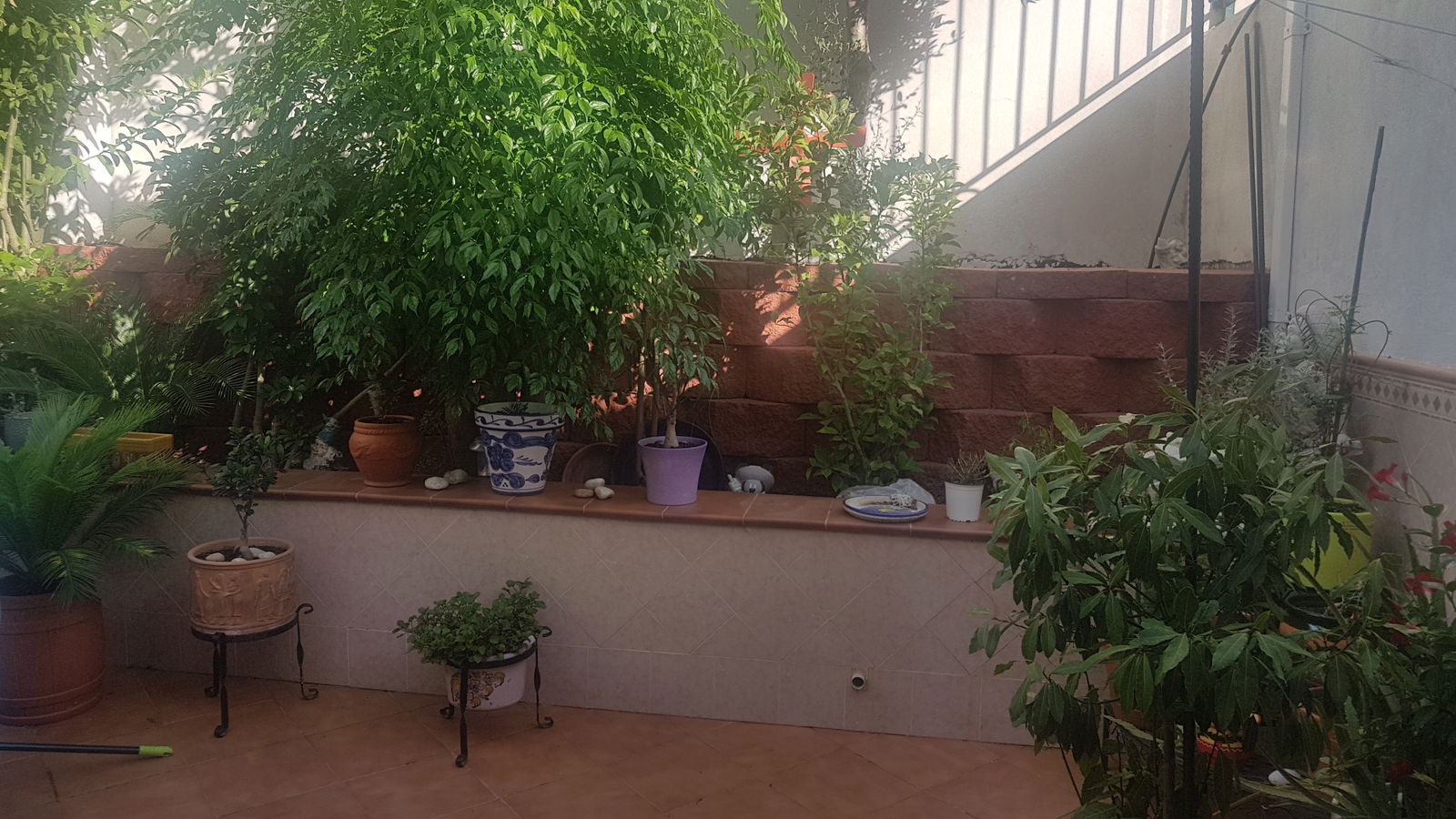 Gastfamilie Benalmádena 211077