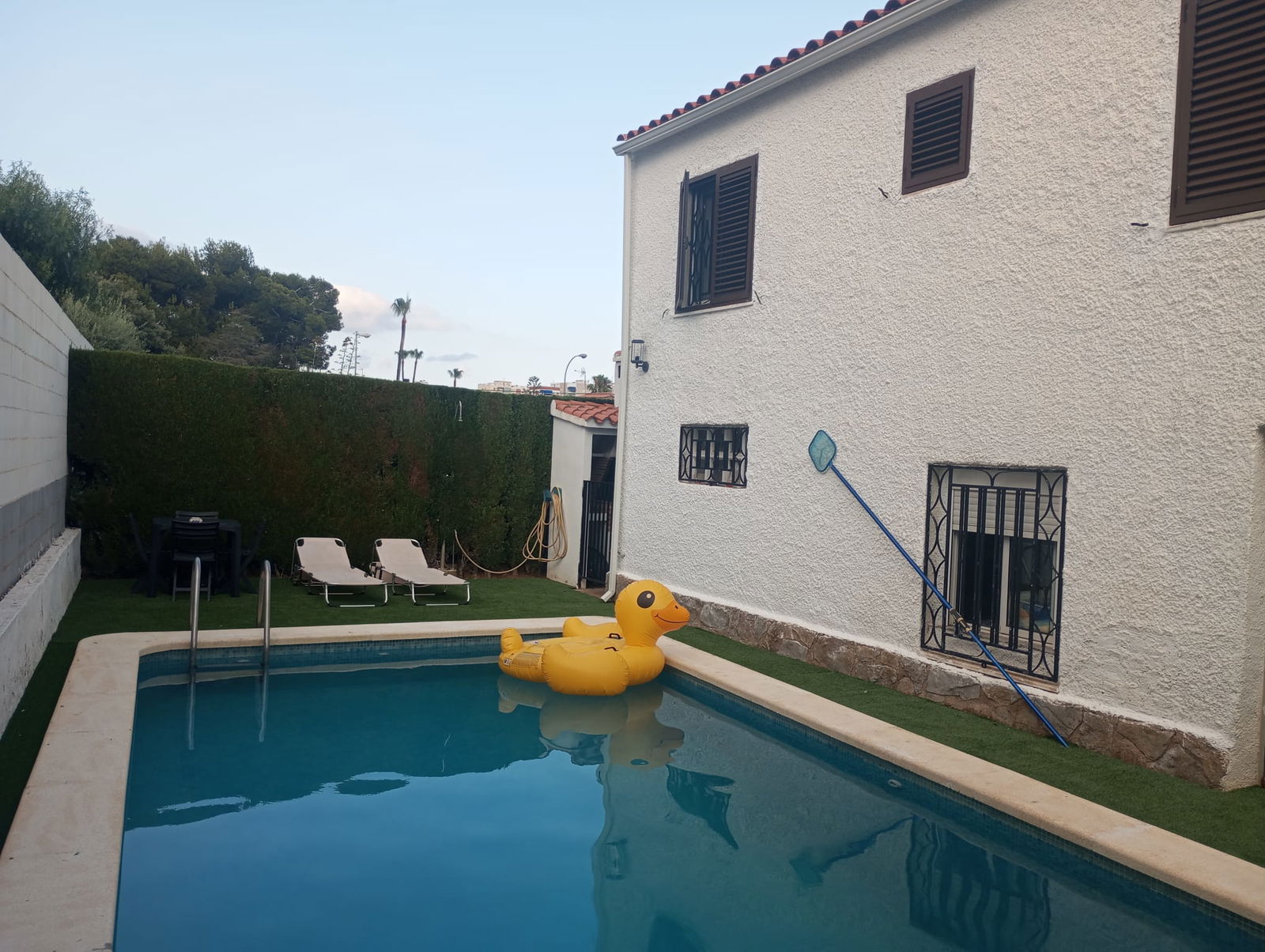 Zusammenleben Benicàssim 488508