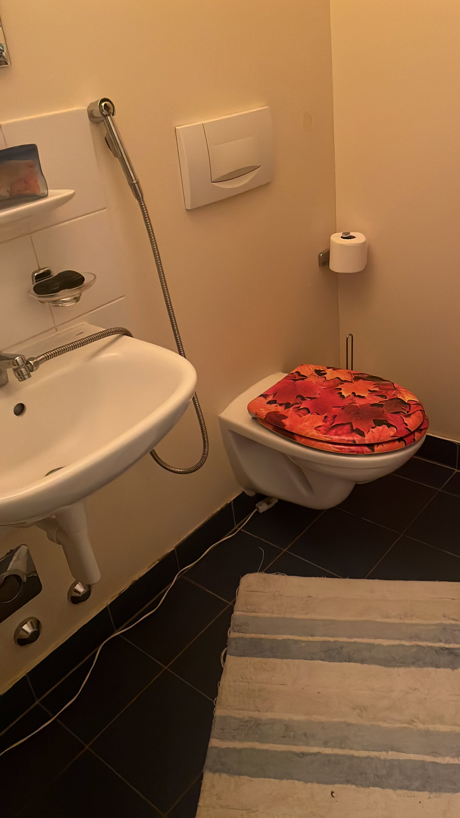 Kolokation Thônex 518669