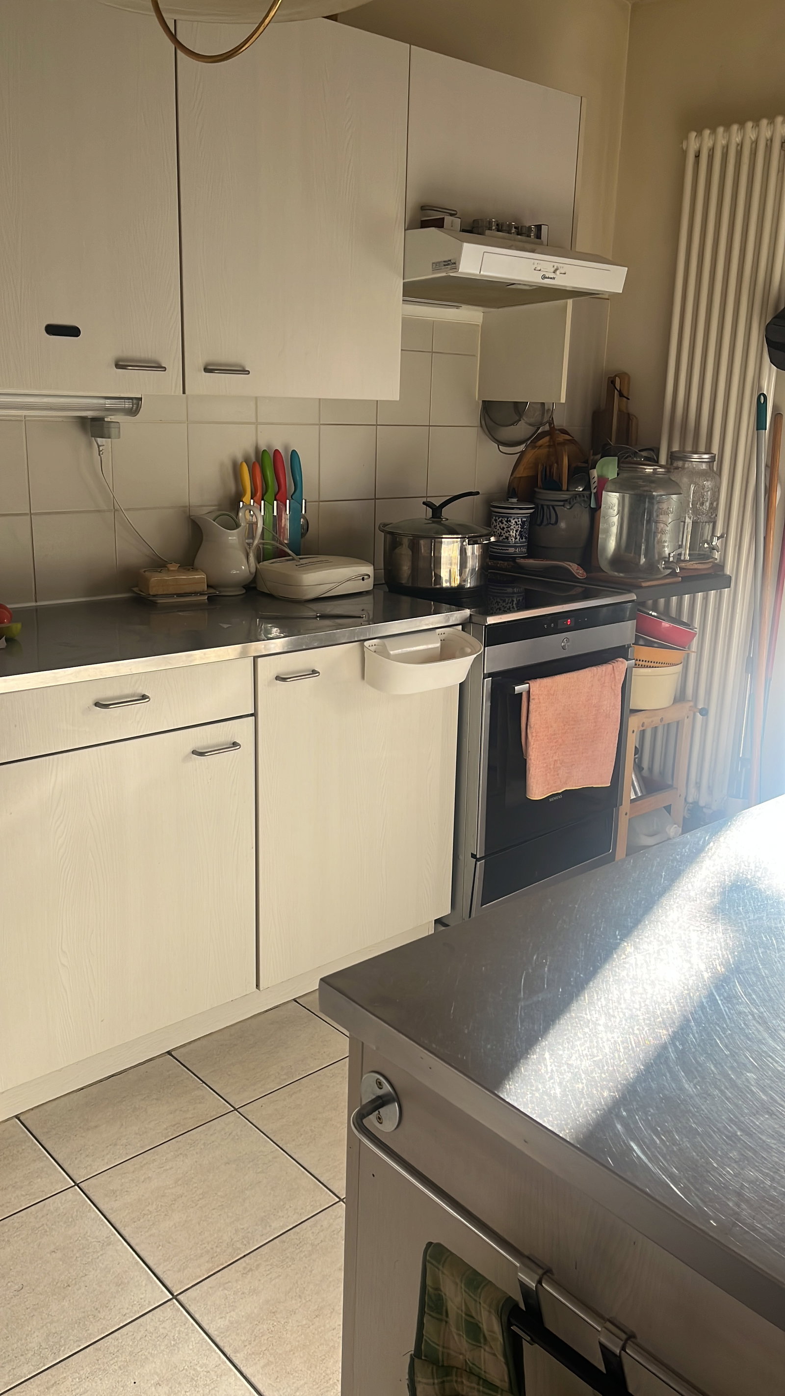 Kolokation Thônex 518669