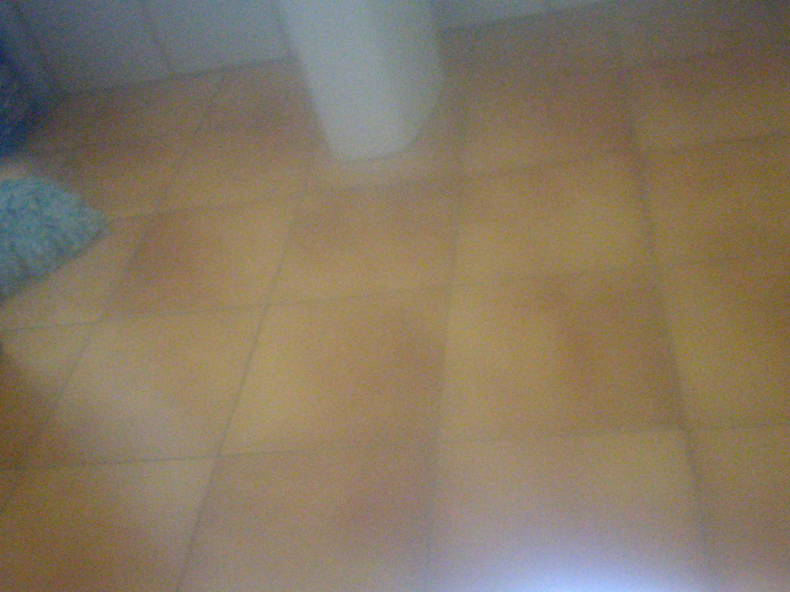 Gastgezin Gleisdorf 235936-2